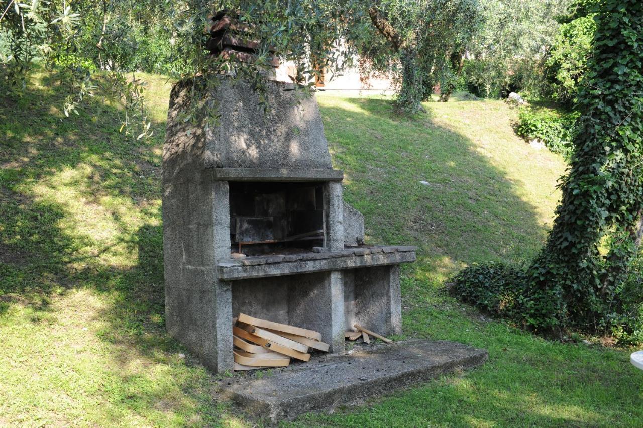Kormorano *